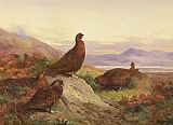Archibald Thorburn The Morning Call painting